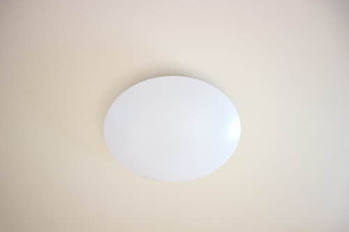 ラフィーネ 0103号-4