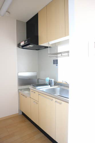 ラフィーネ 0103号-7