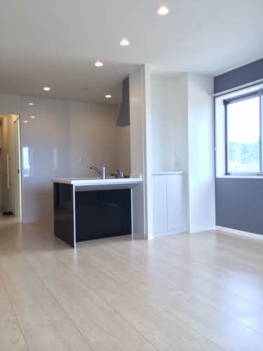 Ｌｕｍｉｕｓ A303号-2