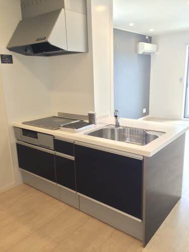 Ｌｕｍｉｕｓ A303号-12