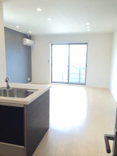 Ｌｕｍｉｕｓ A303号-13