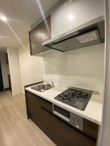 レイオンベール 0102号-5