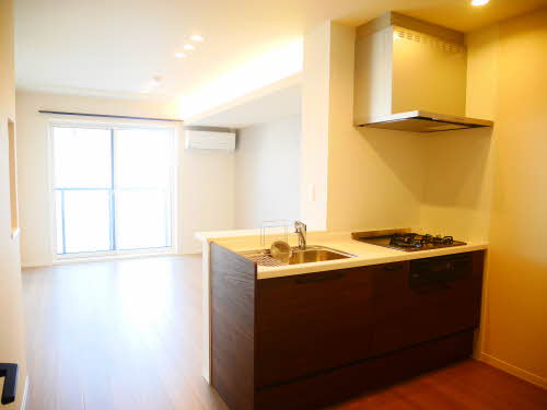 シャーメゾンK 0202号-6