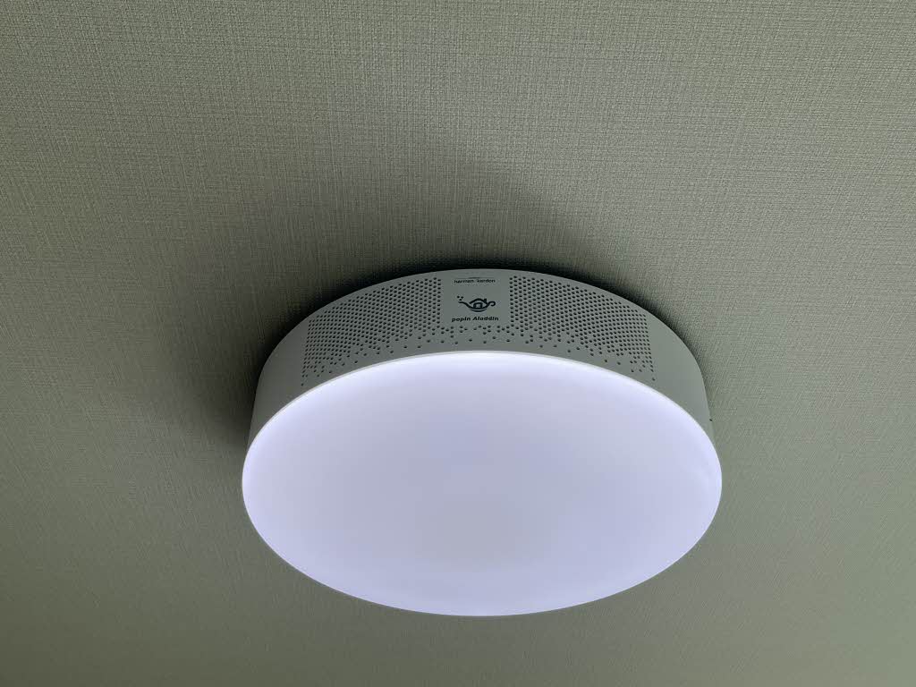 さくら 0102号-15