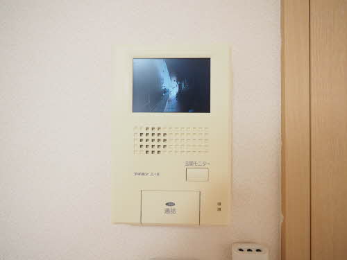 ジラソーレカーサ 0103号-11