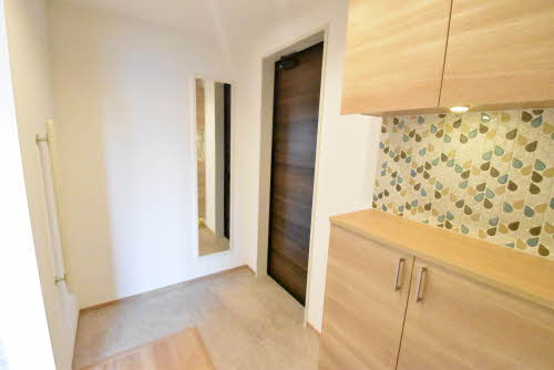 ルス　アリビオ 0201号-10