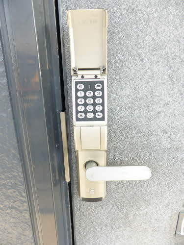 ストロベリー 0202号-3