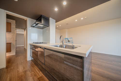 エグゼスト　グリジオ 0305号-4