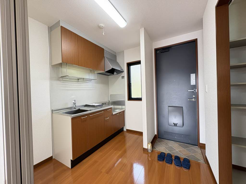 レディバード 0201号-13