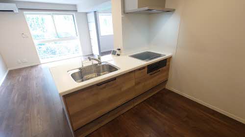 Ｓｅｒｄｉｎａ　Ｍａｂｕｃｈｉ（セルディーナ　マブチ） 0106号-9