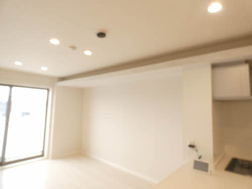 ハリープレイス 0303号-13