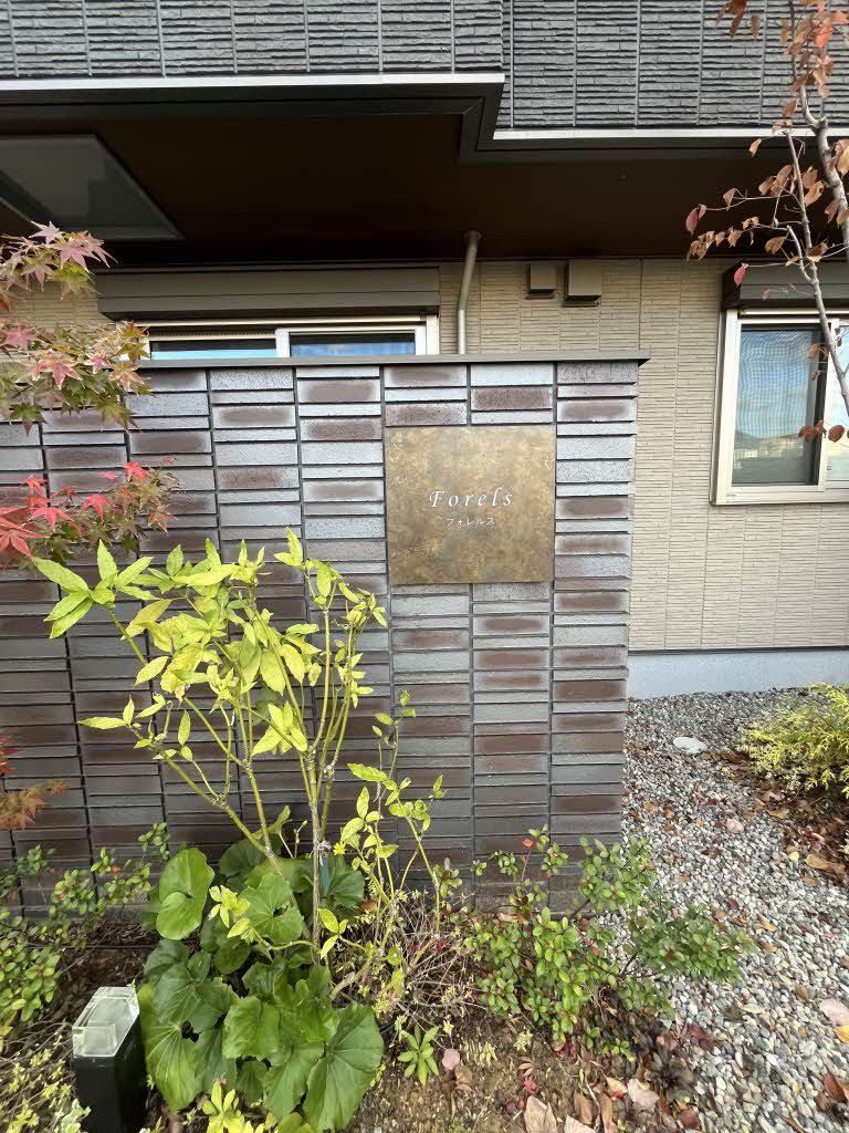 フォレルス（Ｆｏｒｅｌｓ） 0305号-15