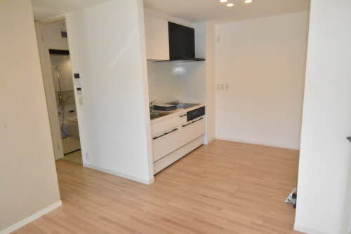 ニュアージュ 0101号-4