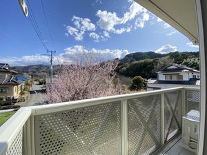 ファミール純 0201号-15