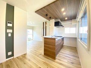 ディアスキタコー B101号-3