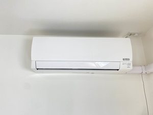 ディアスキタコー B101号-12