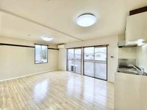 YOUハイツ B205号-3