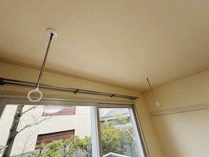 フレグランス　パル 0110号-6