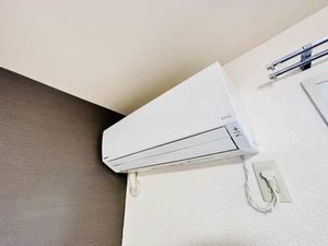 フレグランス　パル 0113号-3