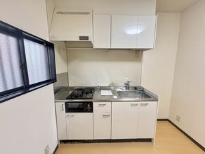 ボナール丸光 A106号-9