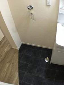 フレグランス若葉 B101号-5