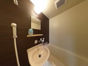 エクレール雅 0201号-8