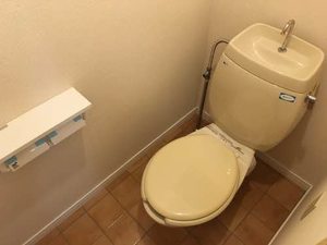 シャルムアマービレ 0203号-11