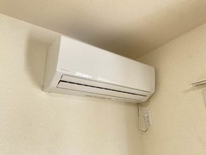 ハンプデンコート A202号-11