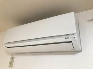 ハイドランジア 0201号-11