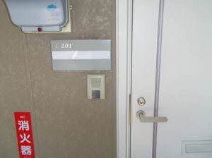 フレグランスひまわり C201号-3