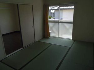 フレグランスひまわり C201号-5