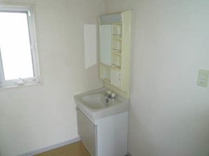 フレグランスひまわり C201号-8