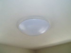 フレグランスひまわり C201号-12