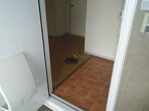 フレグランスひまわり C203号-3