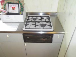 フレグランスひまわり C203号-5