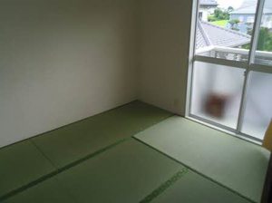 フレグランスひまわり C203号-6