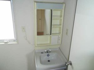 フレグランスひまわり C203号-8