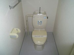 フレグランスひまわり C203号-9