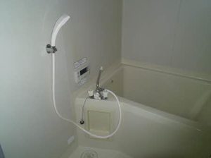 フレグランスひまわり C203号-10