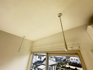 フレグランスひまわり C203号-11