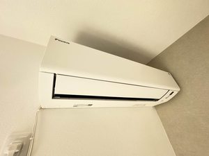 フレグランスひまわり C203号-12