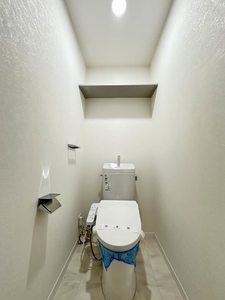 フレグランスひまわり C203号-13