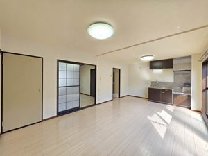 コンチェルト　清水 0102号-2