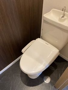 レゾルム 0102号-12