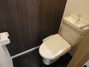 レゾルム 0203号-11