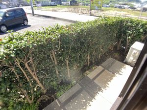 ヴェルディSEGI A102号-13