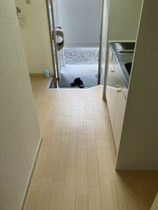 フレグランス花塚 0105号-7