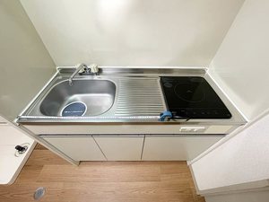 シイノマンション 0202号-4