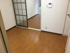 ノノビラ 0105号-2