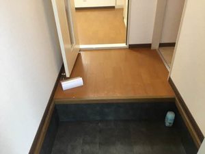 ノノビラ 0105号-8